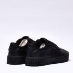 Puma carina 2.0 – Image 5