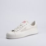 Warrior wr004 – Image 3